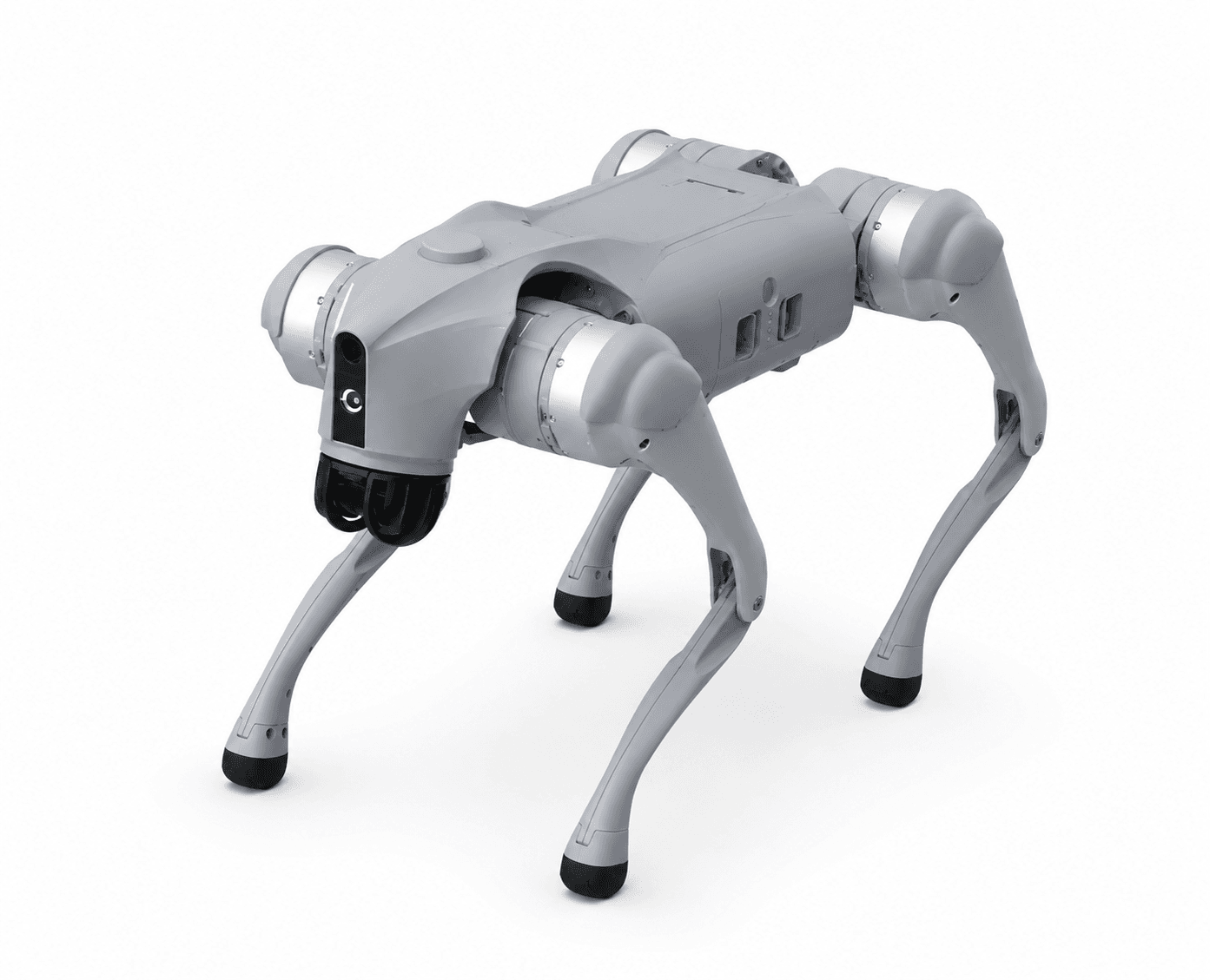 Unitree Robotics Go2
